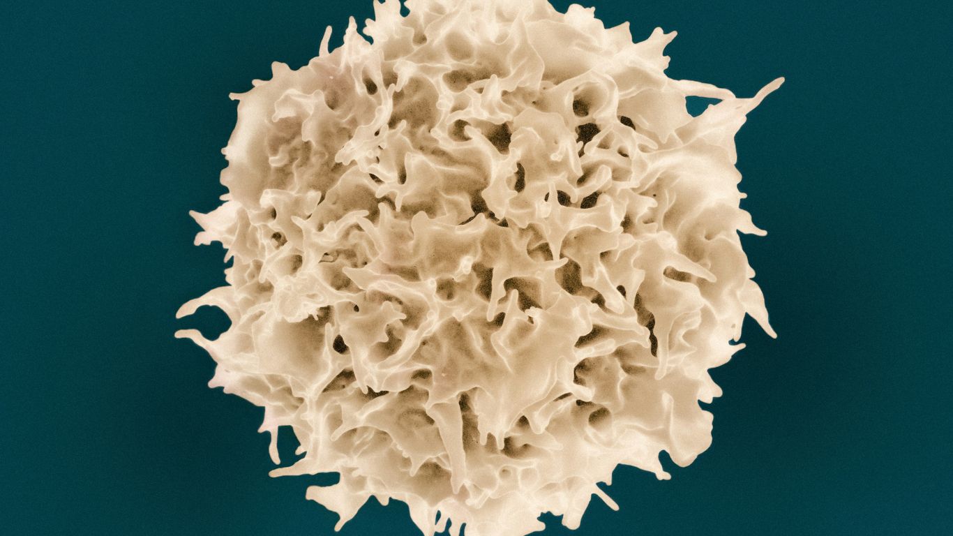 a close up of a white substance on a blue background
