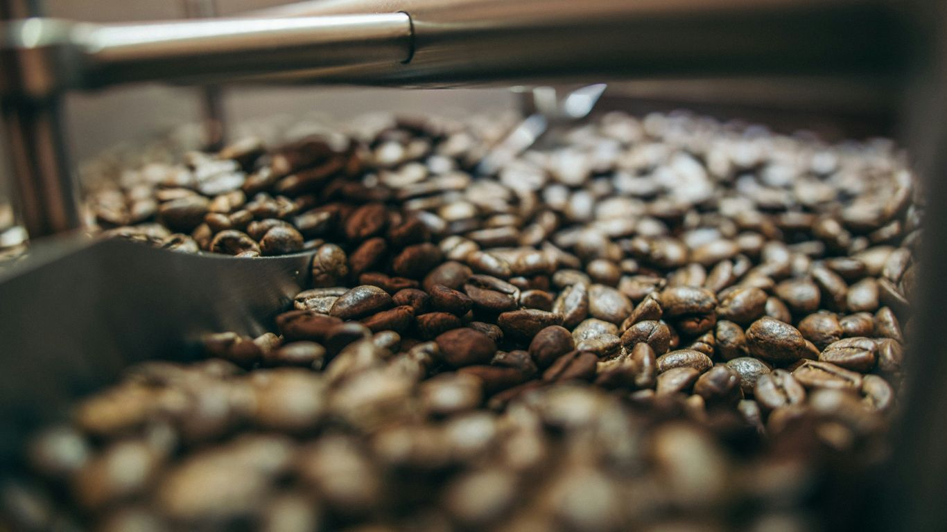 shallow focus photography of brown coffee beans