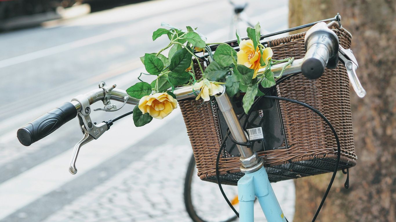a bicycle with a basket full of flowers