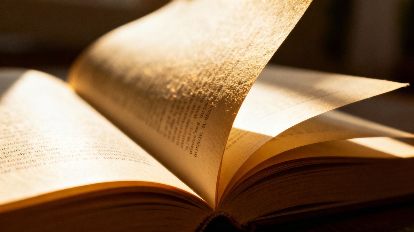 Open book with sunlight on its pages.