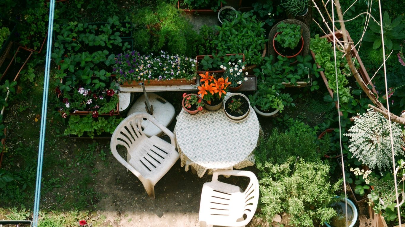 white plastic chair beside green plants