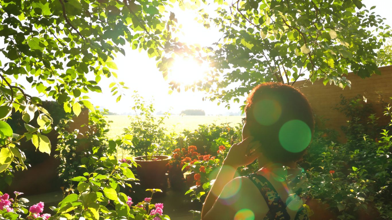 Person looking at a peaceful garden horizon.