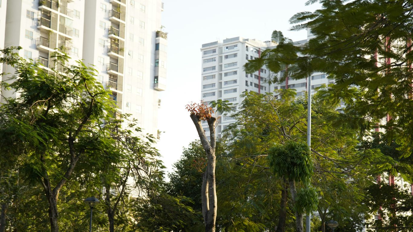A park with trees, benches, and tall buildings in the background