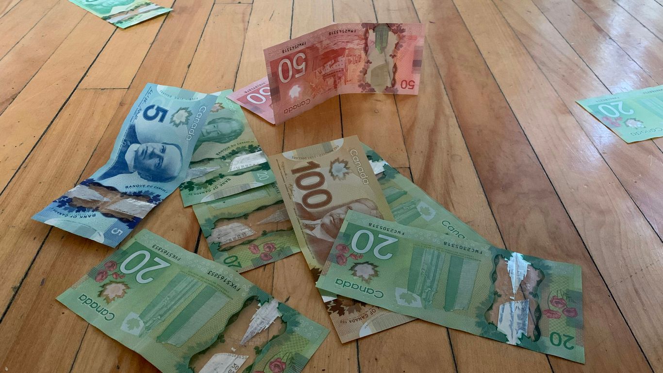 10 and 20 banknotes on brown wooden floor