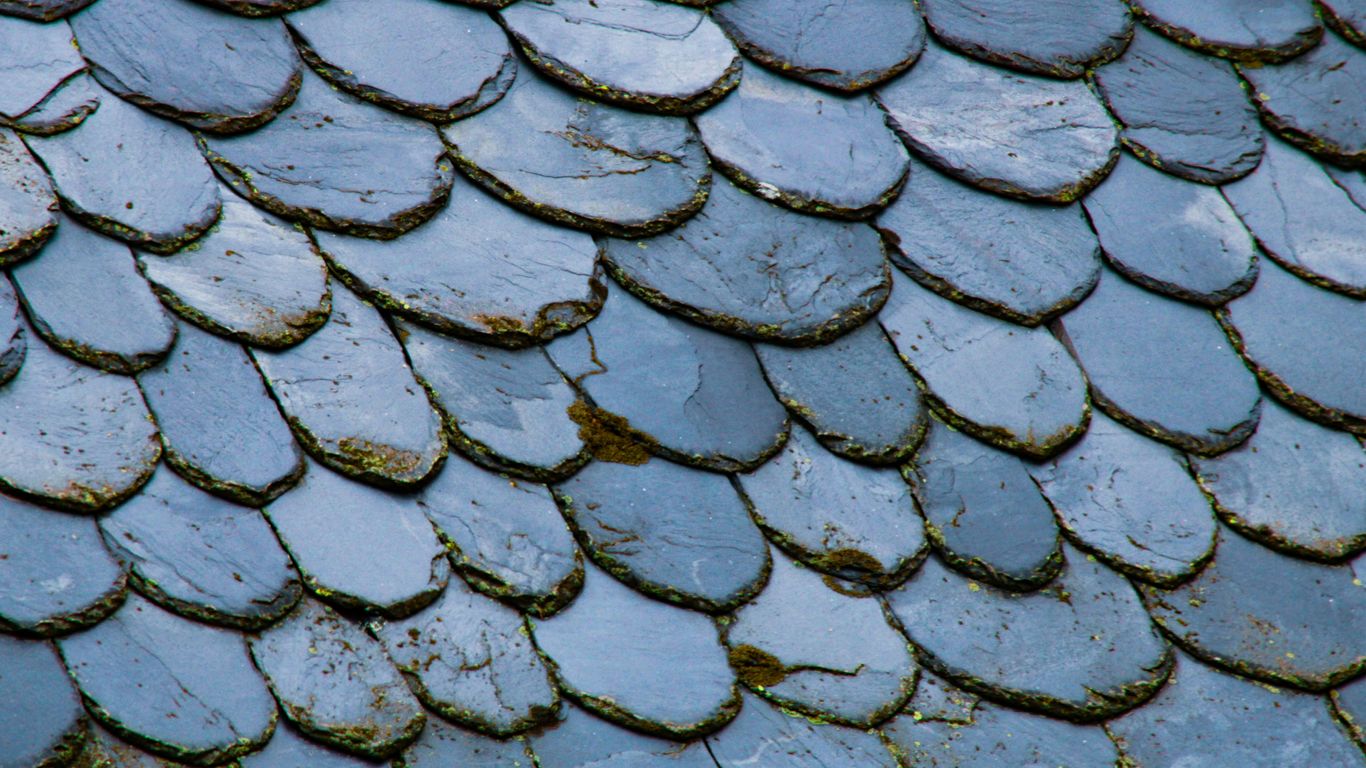 black shingle roofs
