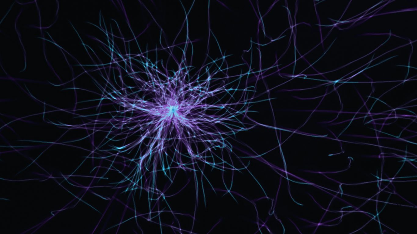 a purple and blue abstract pattern on a black background