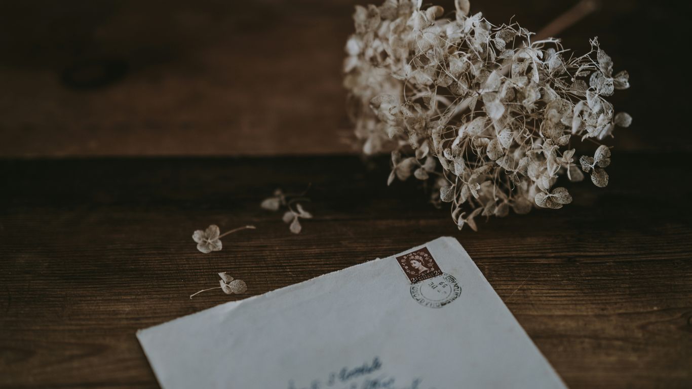 white mailing envelope beside white petaled flower