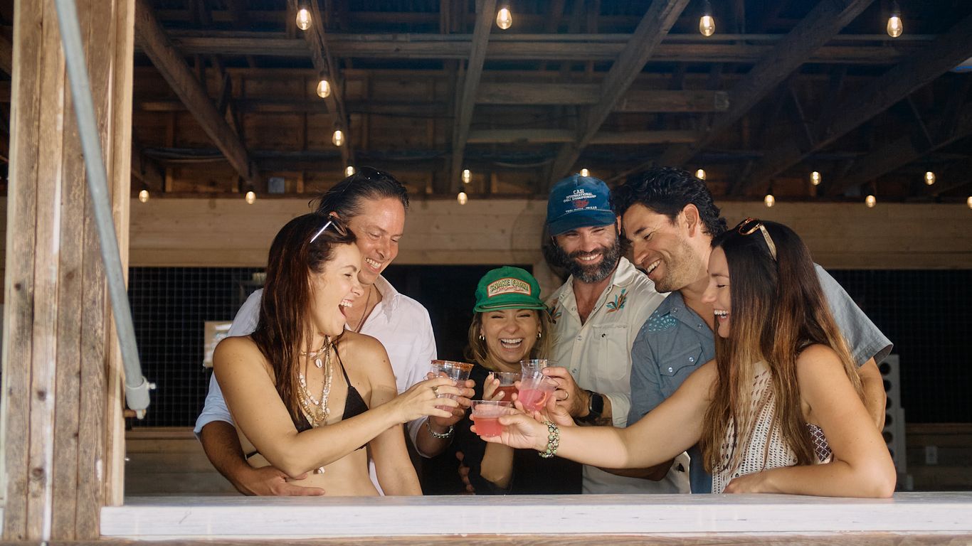 A group of people are toasting drinks at a casual outdoor gathering.
