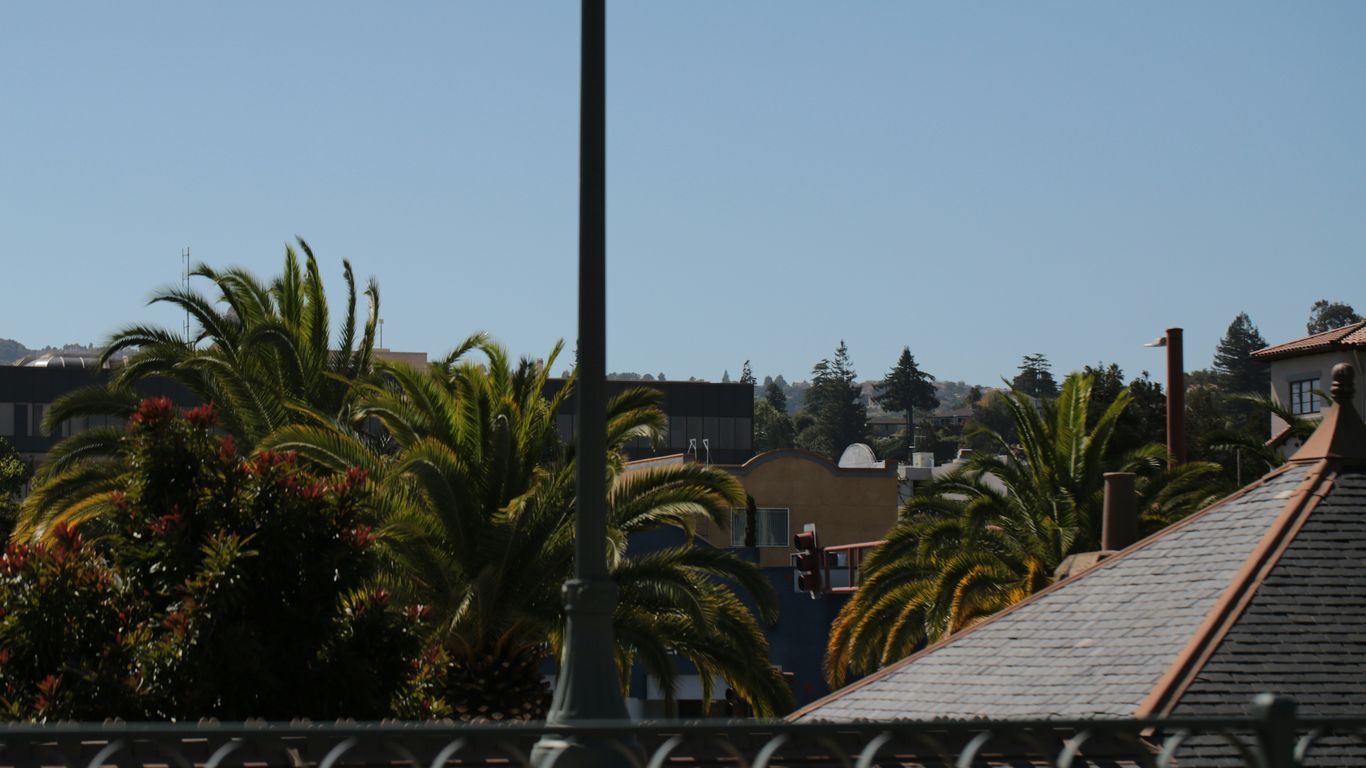 Palm trees and rooftops under a clear blue sky.