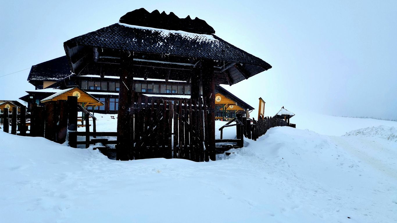 brown wooden house covered with snow during daytime