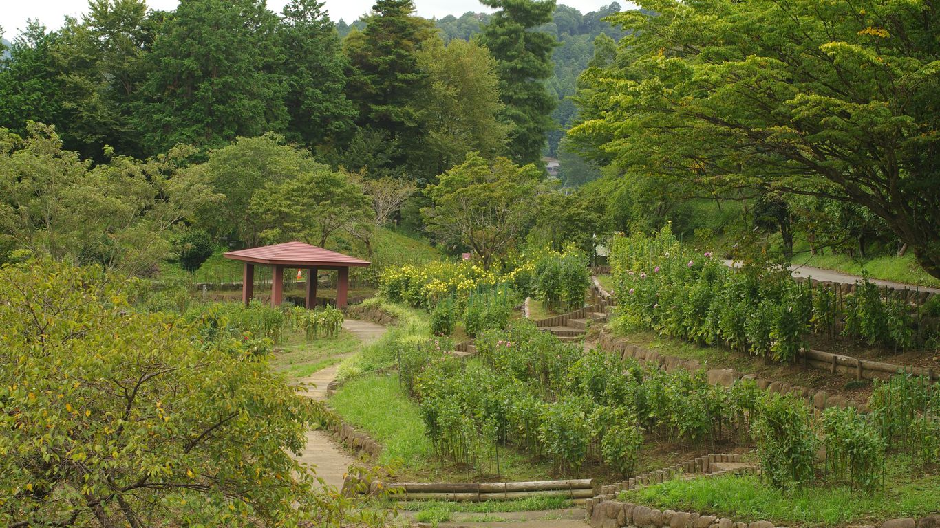 A path through a lush green forest with a gazebo in the distance