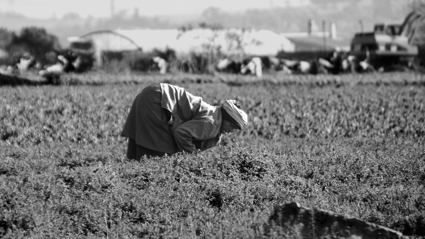grayscale photo of man sitting on grass field
