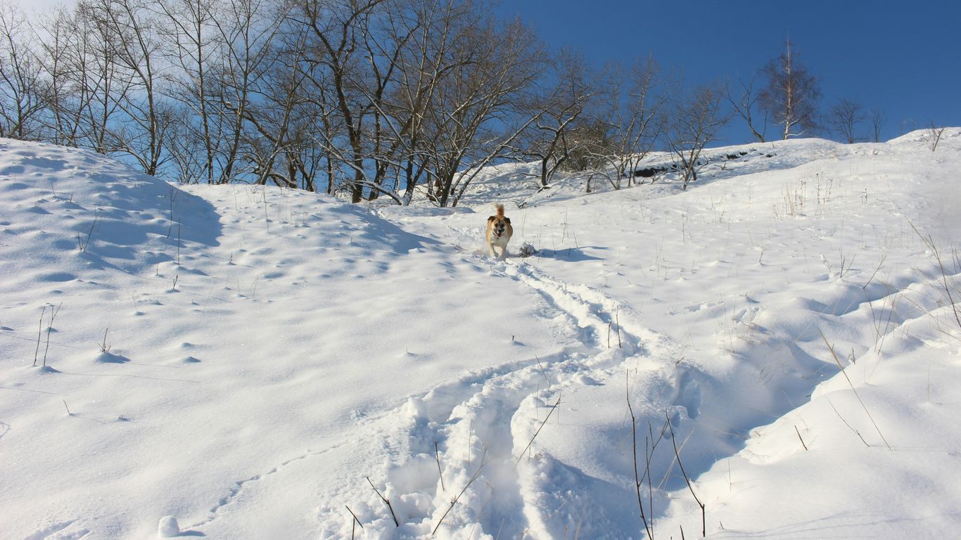 a person walking up a snow covered hill