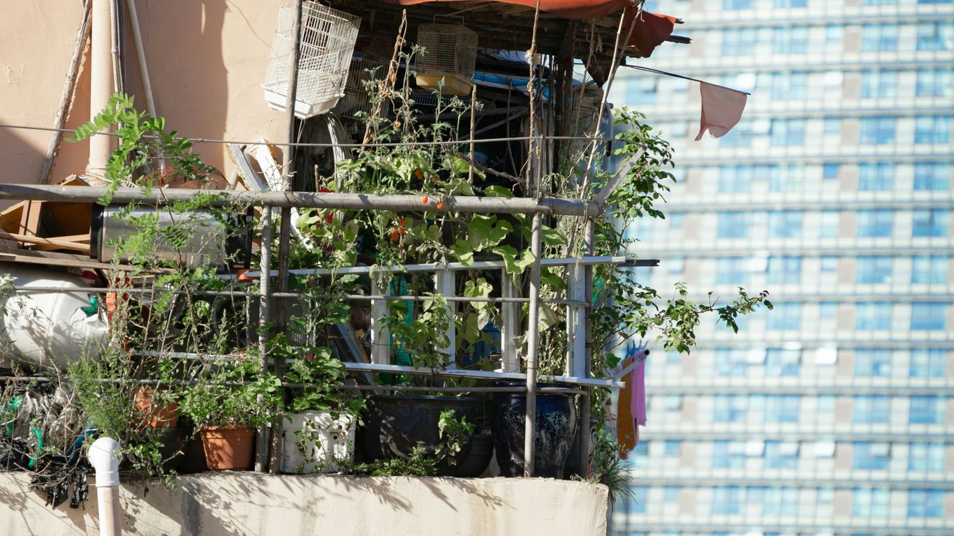a balcony with a bunch of plants growing out of it