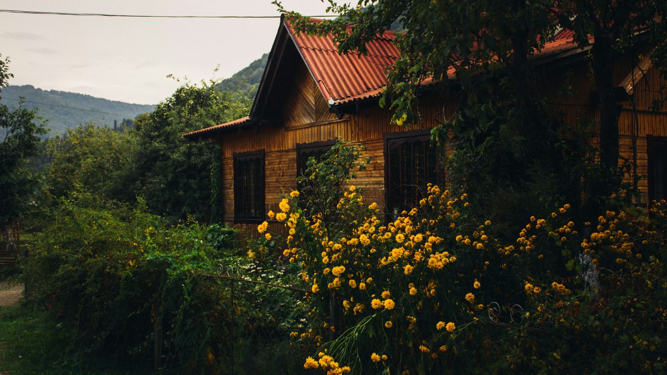 Cozy cottage nestled amongst nature's beauty.