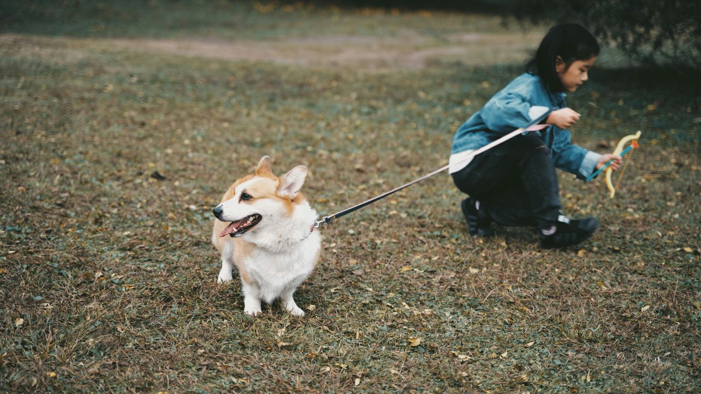 man in blue denim jacket and blue denim jeans sitting beside brown and white dog during