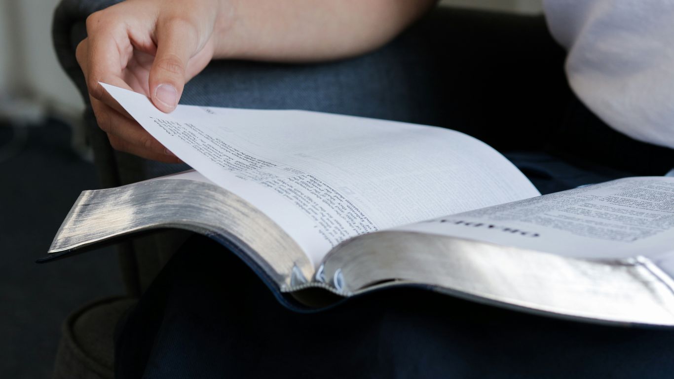 person reading book