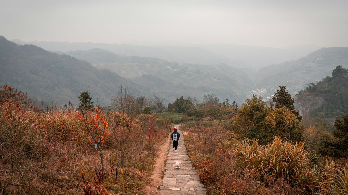 Person walks dog on path through autumn foliage