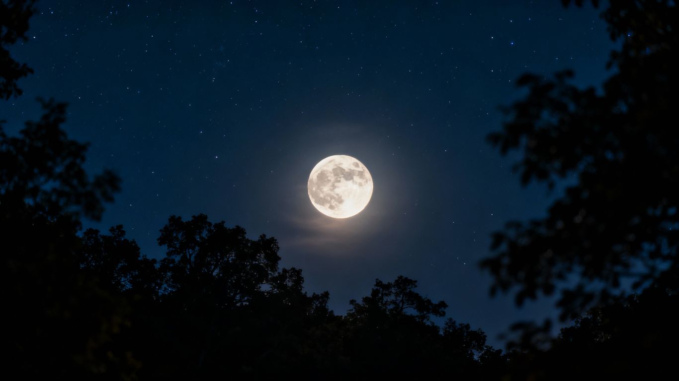Full moon over silhouetted trees at night.