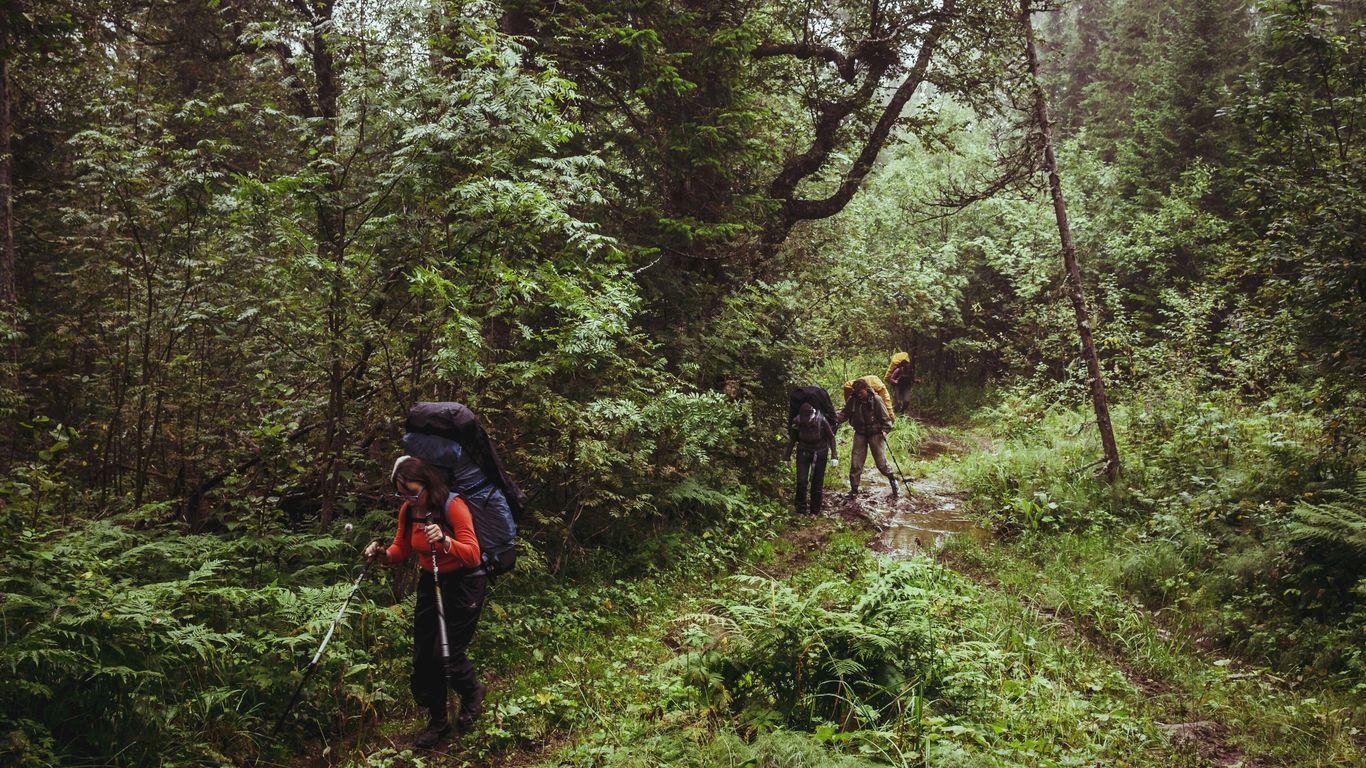 person hiking on moutanin