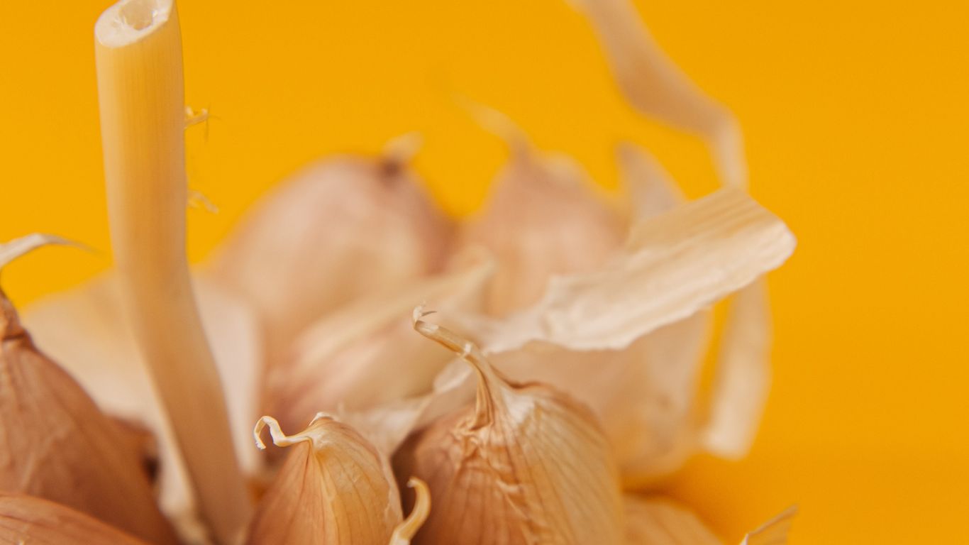 Close-up of garlic bulb with yellow background, natural lighting.