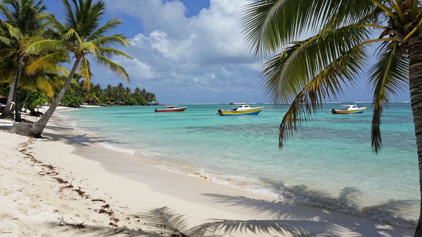 Tropical beach with palm trees and clear blue water.