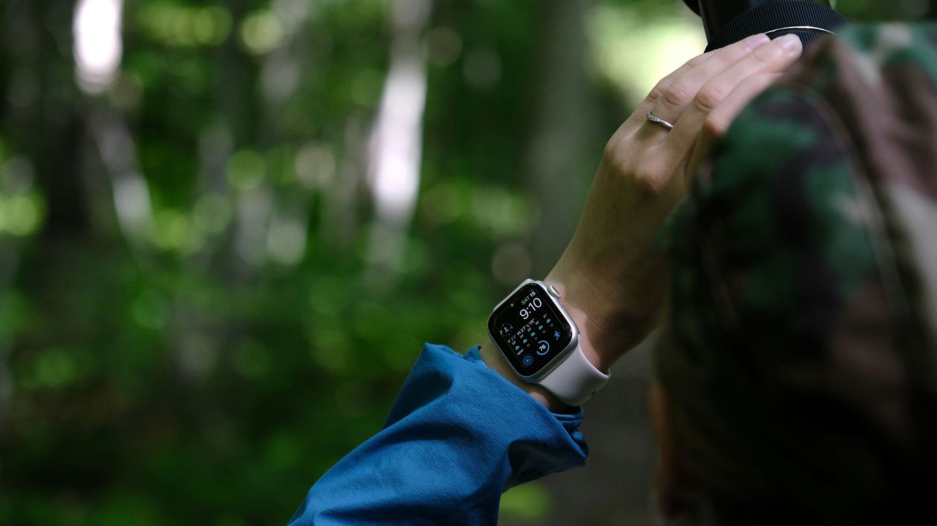 A person taking a picture of a forest with a camera