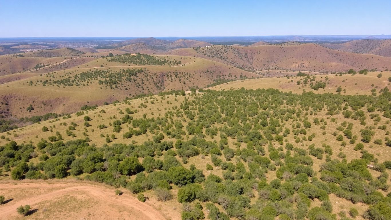 Fair Oaks Ranch undeveloped land with trees and sky.