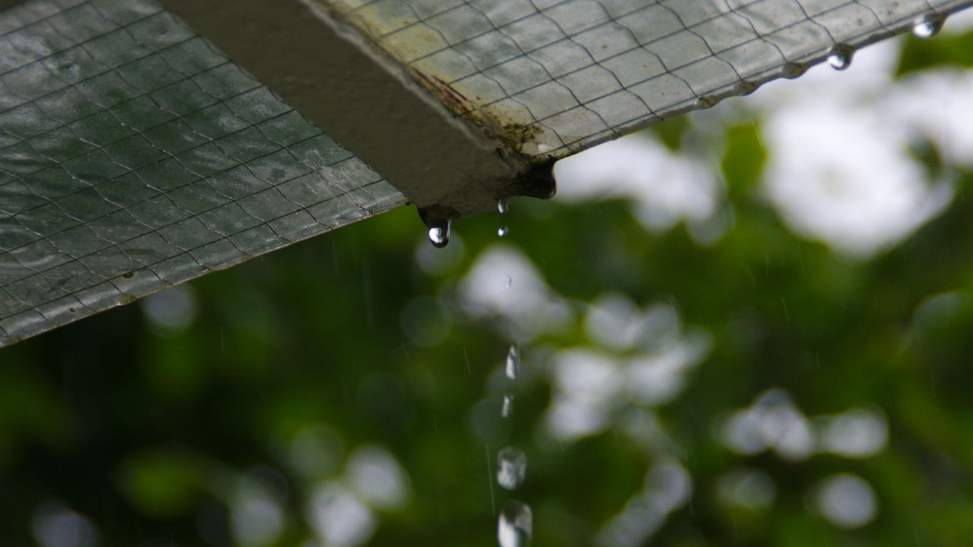 water droplets on white roof