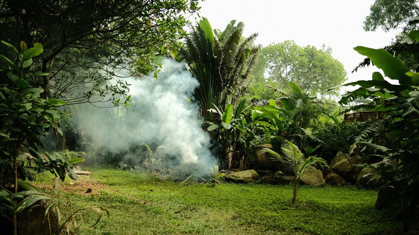 Smoke rising in a lush garden surrounded by tropical plants, illustrating outdoor pest control methods against mosquitoes.