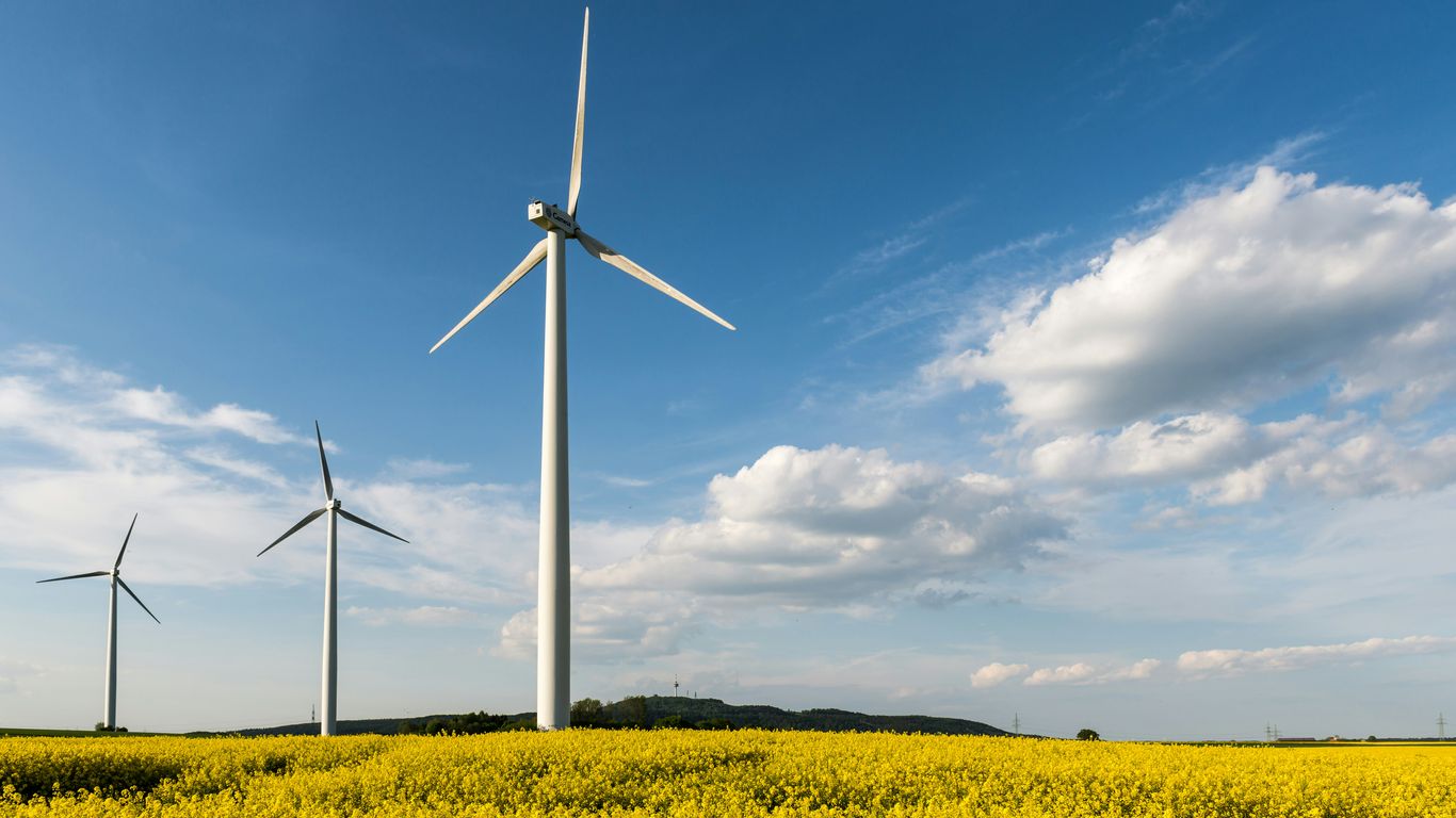 a field of yellow flowers and windmills in the distance