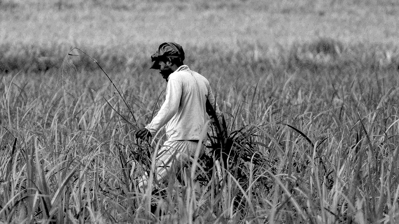 woman in white long sleeve shirt sitting on grass field