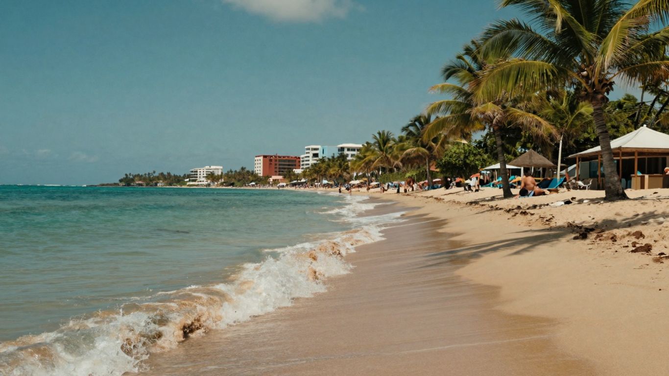 Sunny beach with palm trees and ocean waves.
