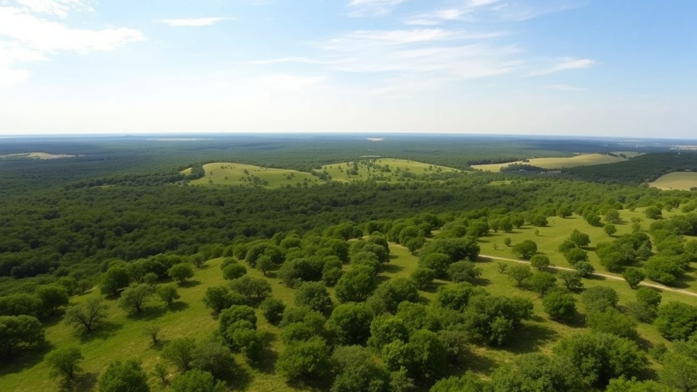 Hill Country landscape with view corridors in Fair Oaks Ranch.