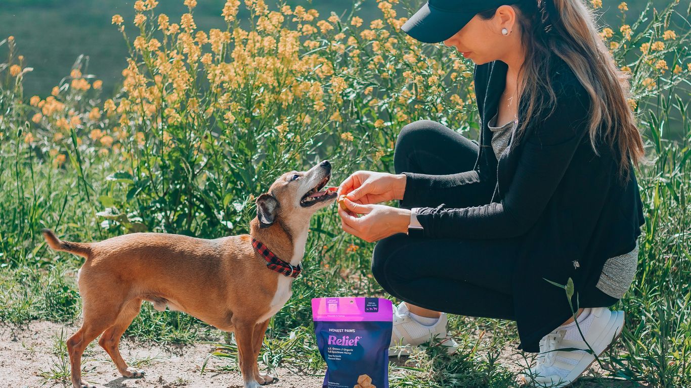 woman in black leather jacket holding purple can beside brown short coated dog