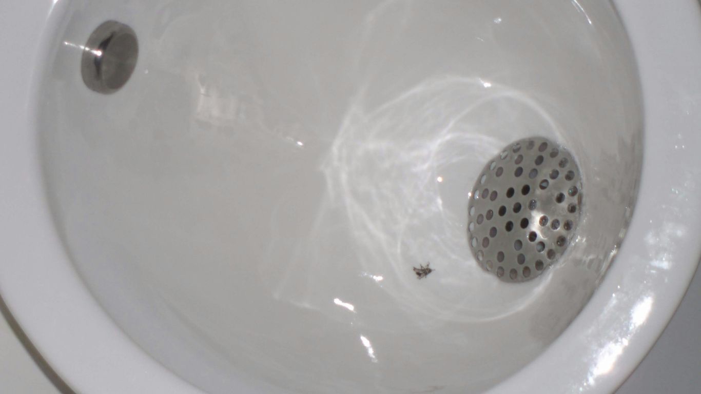 A close up of a white toilet bowl