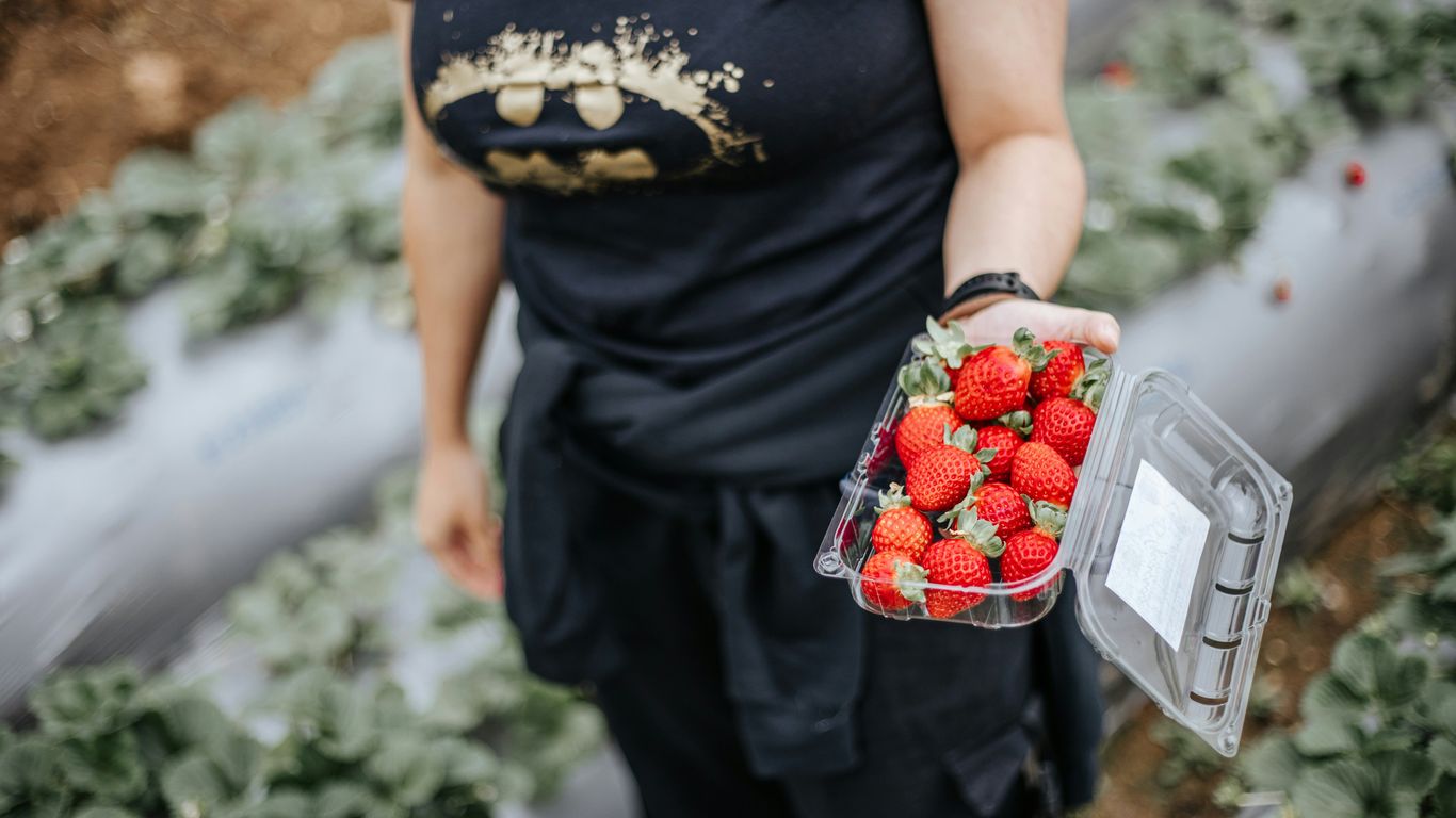 a woman holding a plastic container full of strawberries