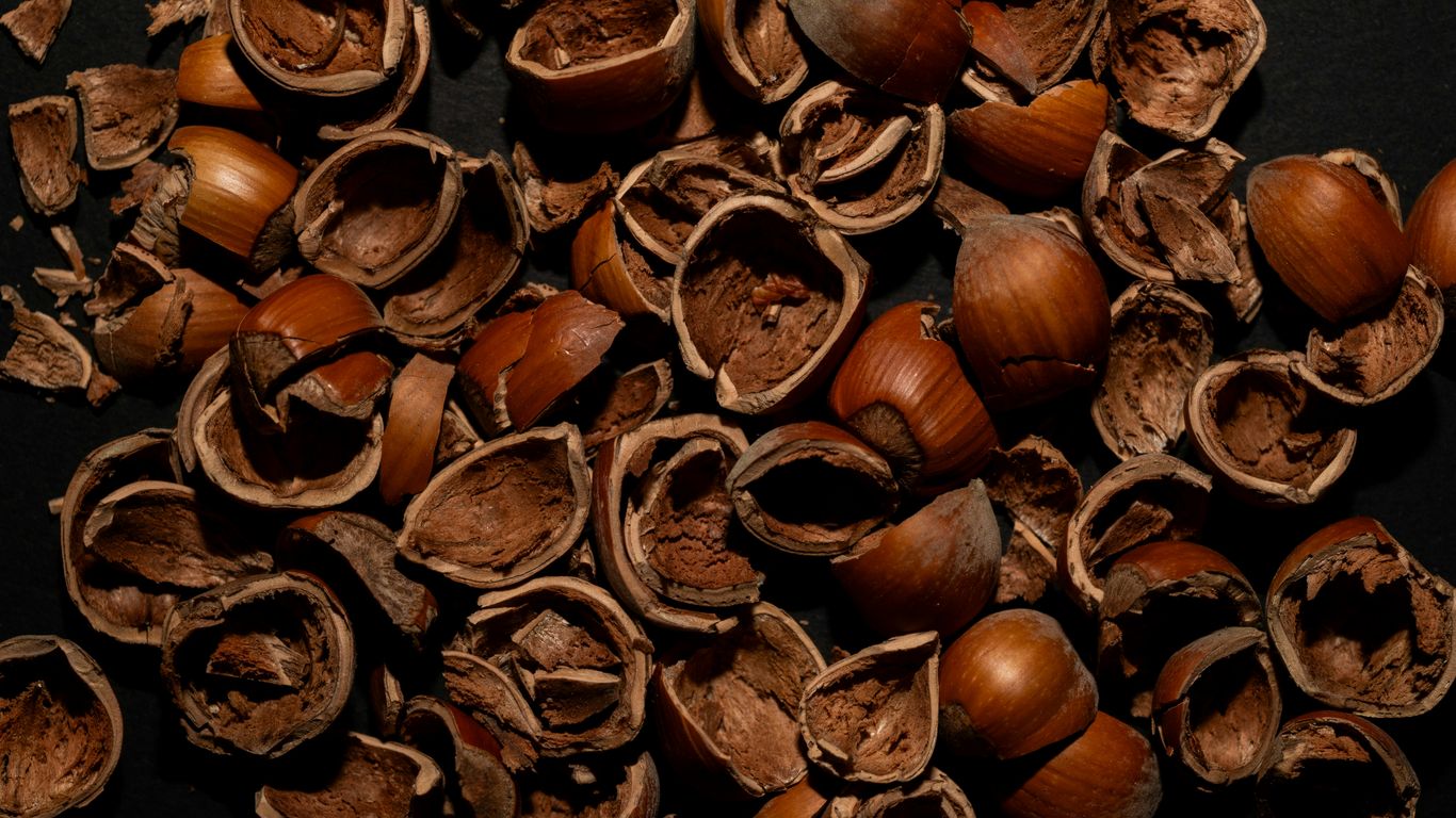 Pile of cracked hazelnut shells on a dark surface