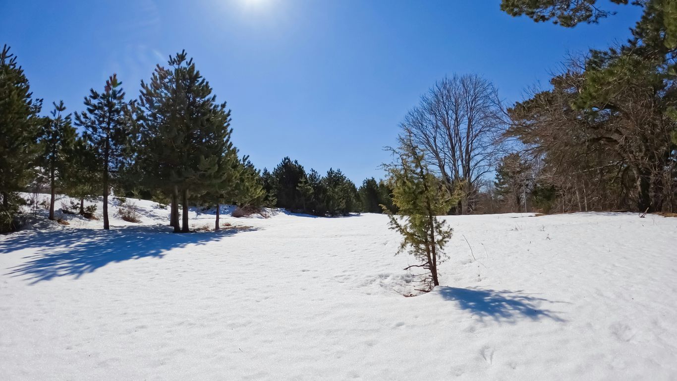 a snow covered field with trees in the background