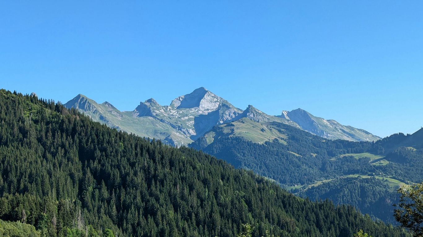 A scenic view of a mountain range with trees in the foreground