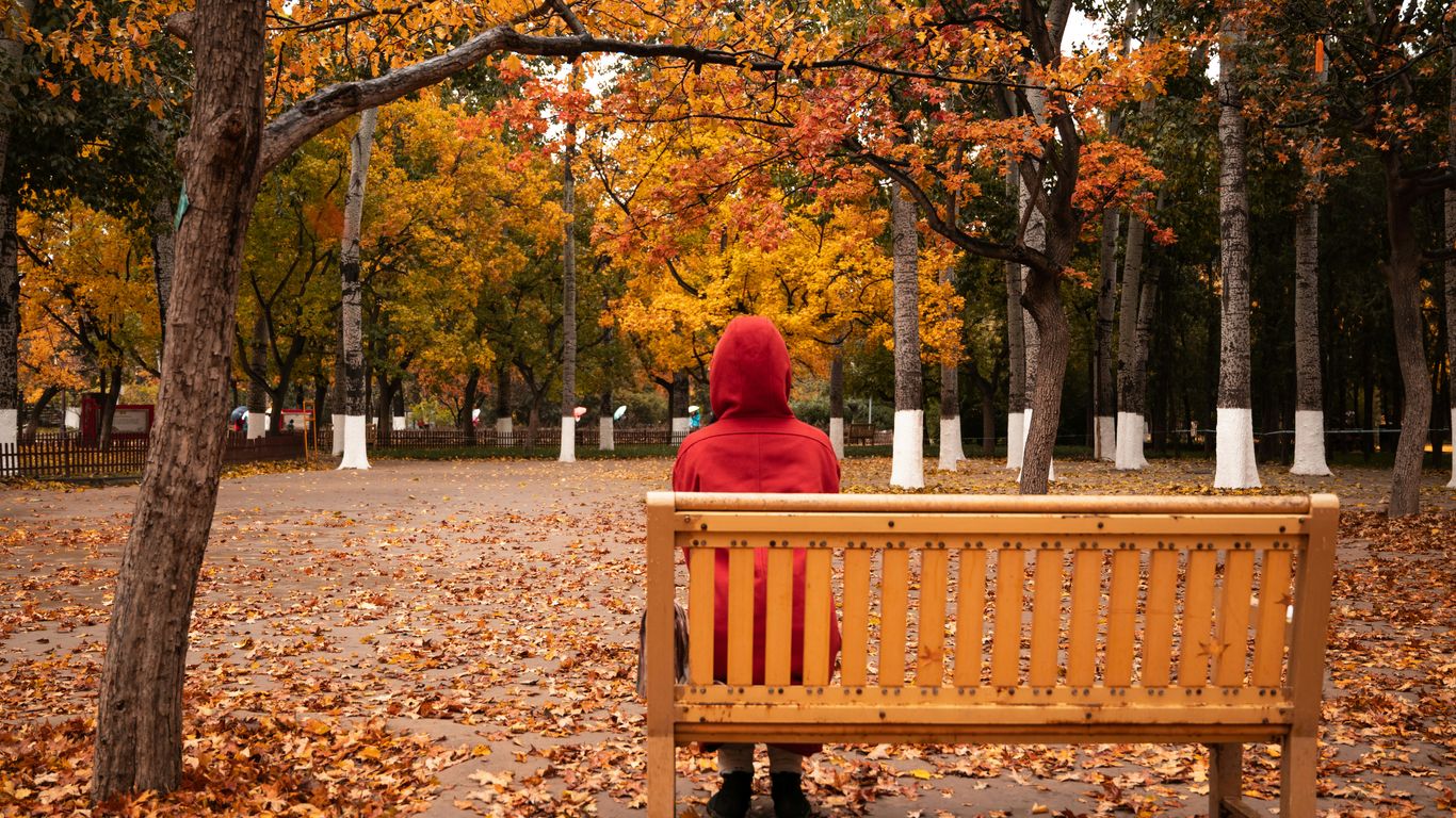 a person sitting on a bench in a park