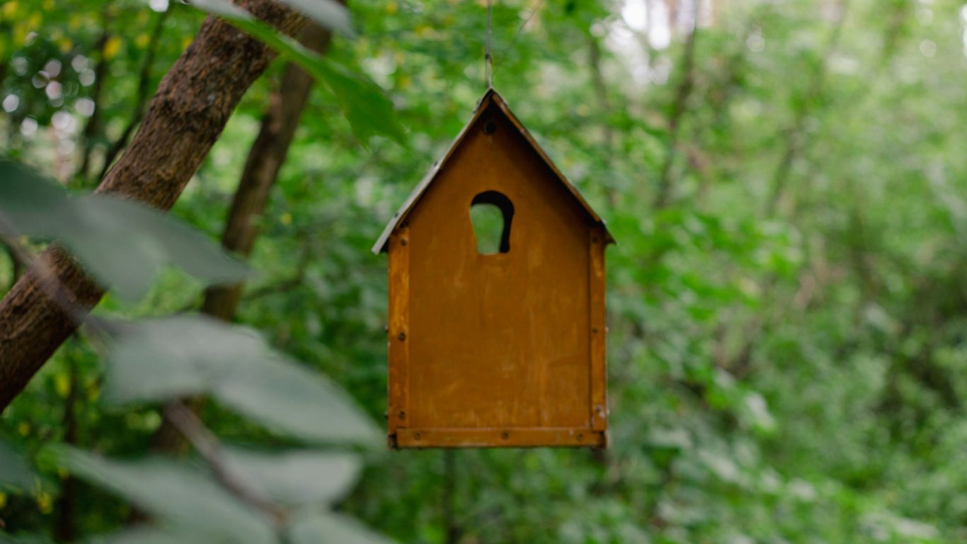 A birdhouse hanging from a tree in the woods