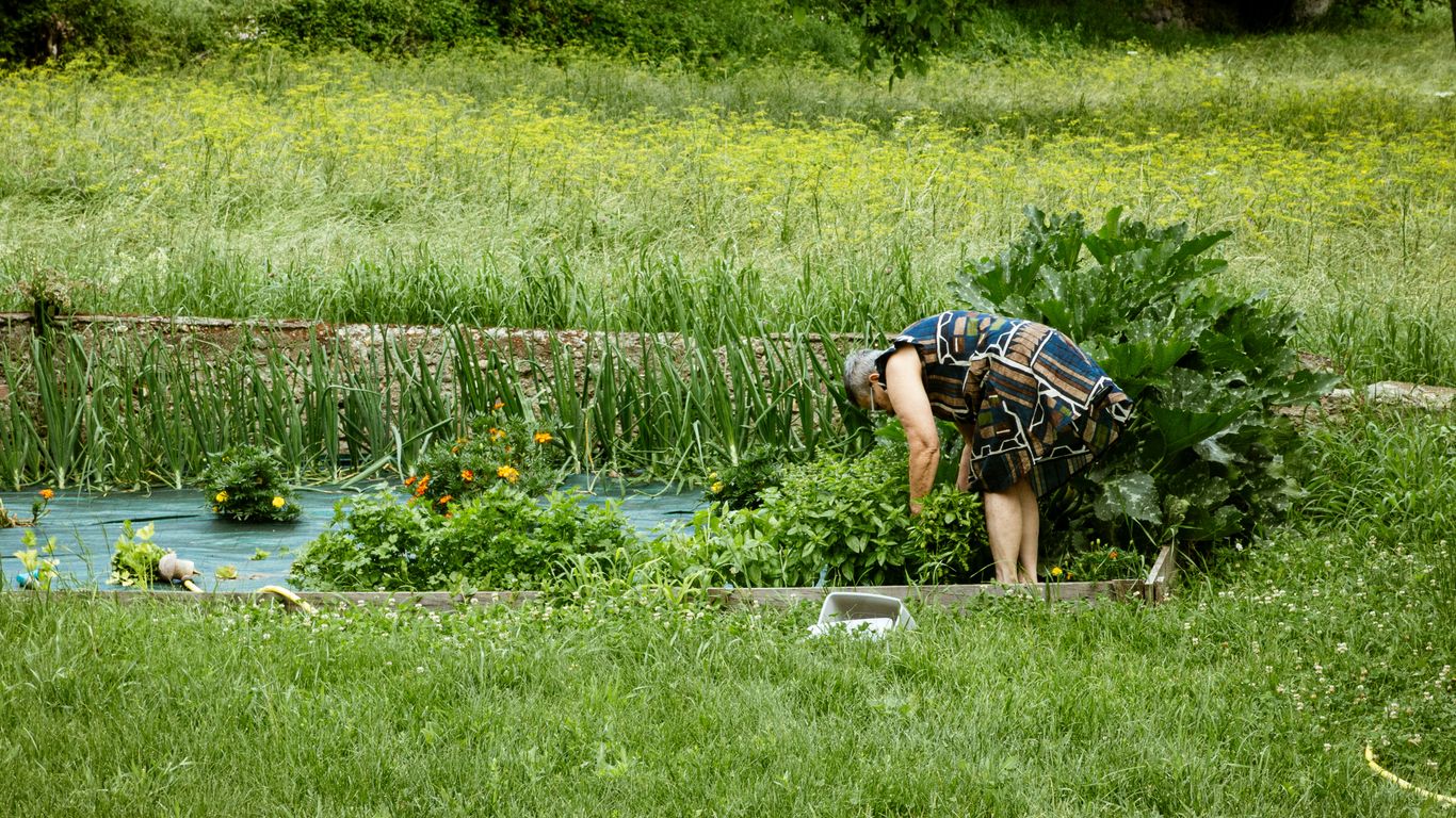 A woman tends her garden amidst greenery.