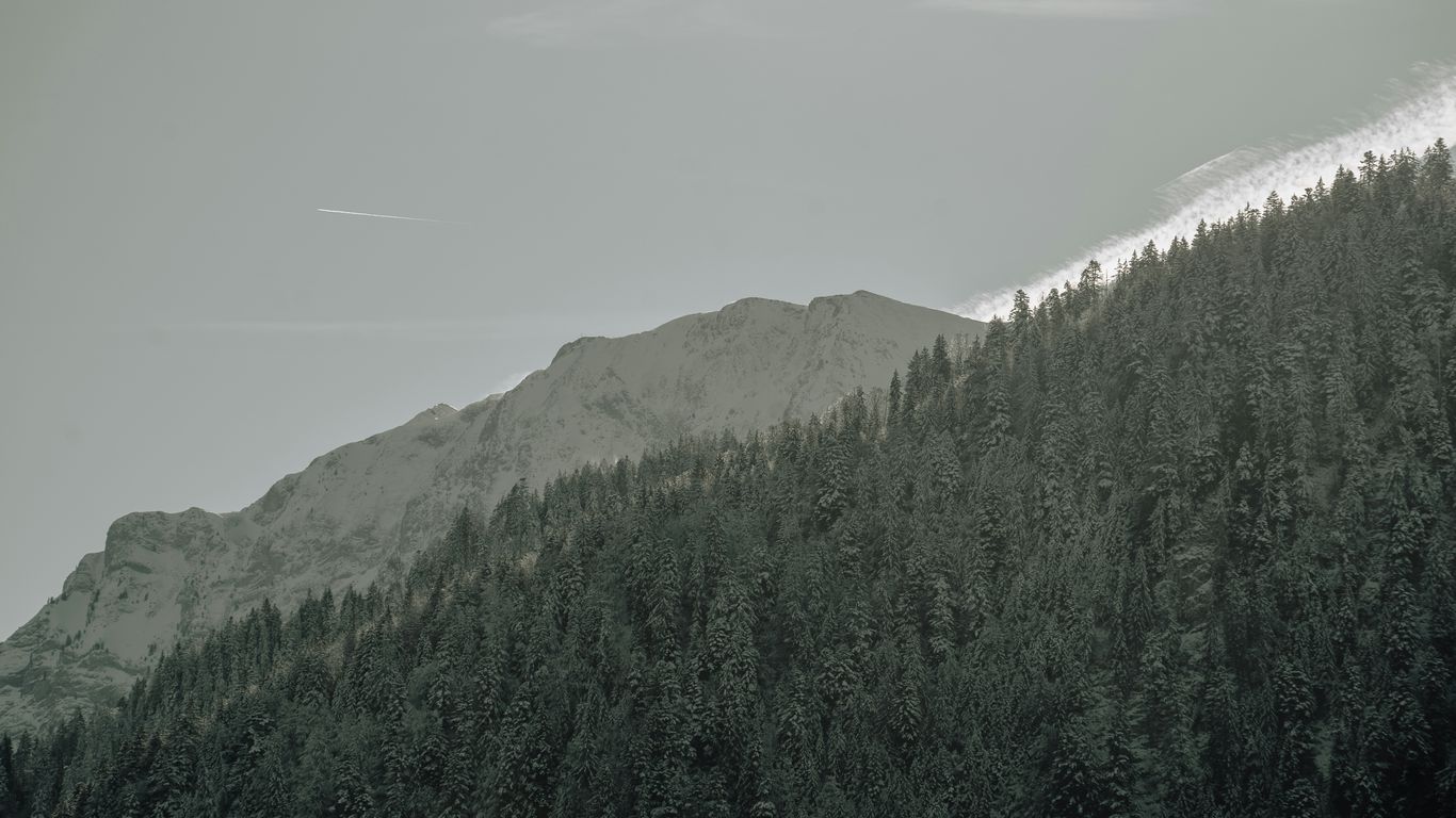 a snow covered mountain with trees on the side