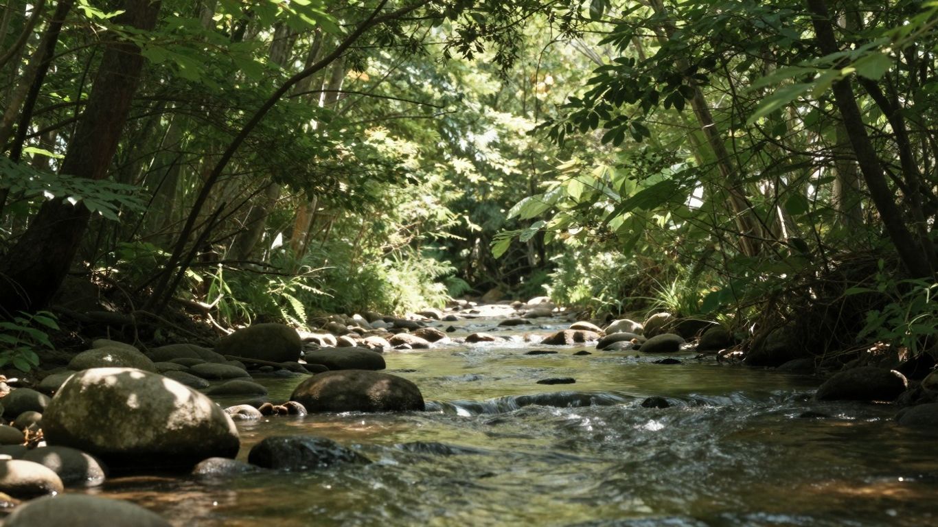 Calm forest path with gentle stream and soft sunlight.