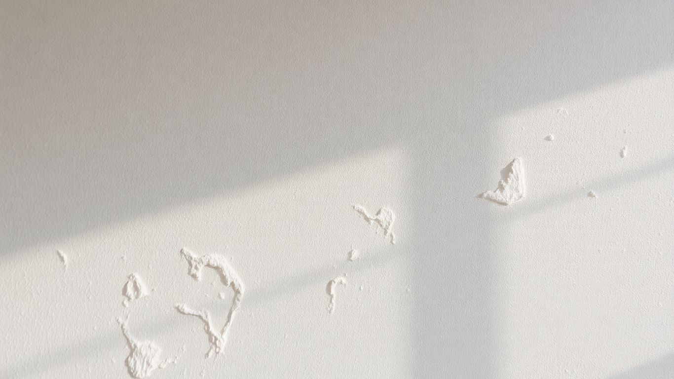 Textured limewash feature wall with a soft, matte finish.