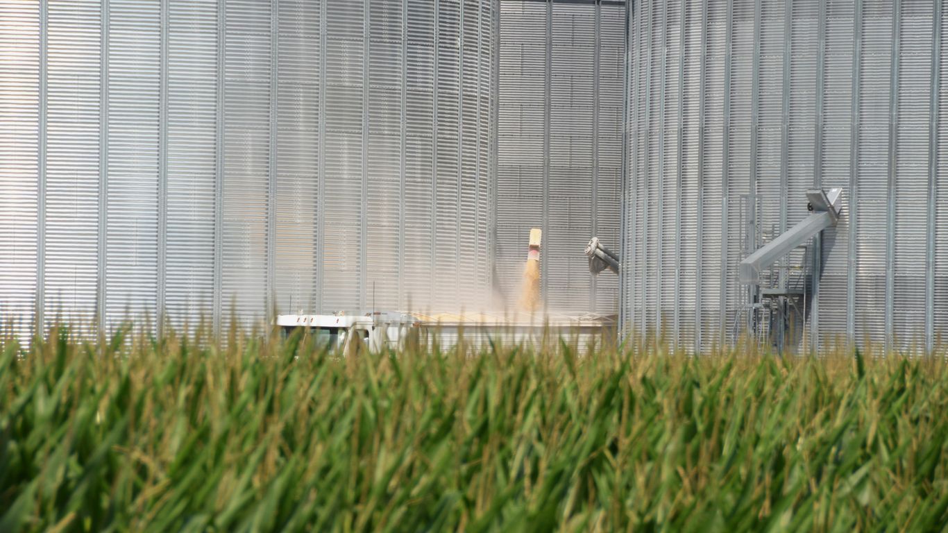 A field of green grass with a silo in the background