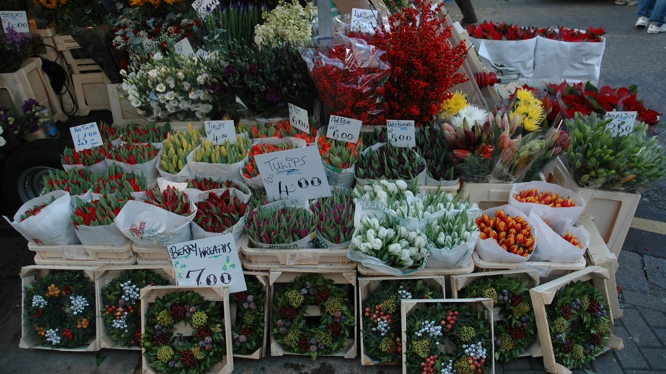 green and red vegetables on white plastic crates