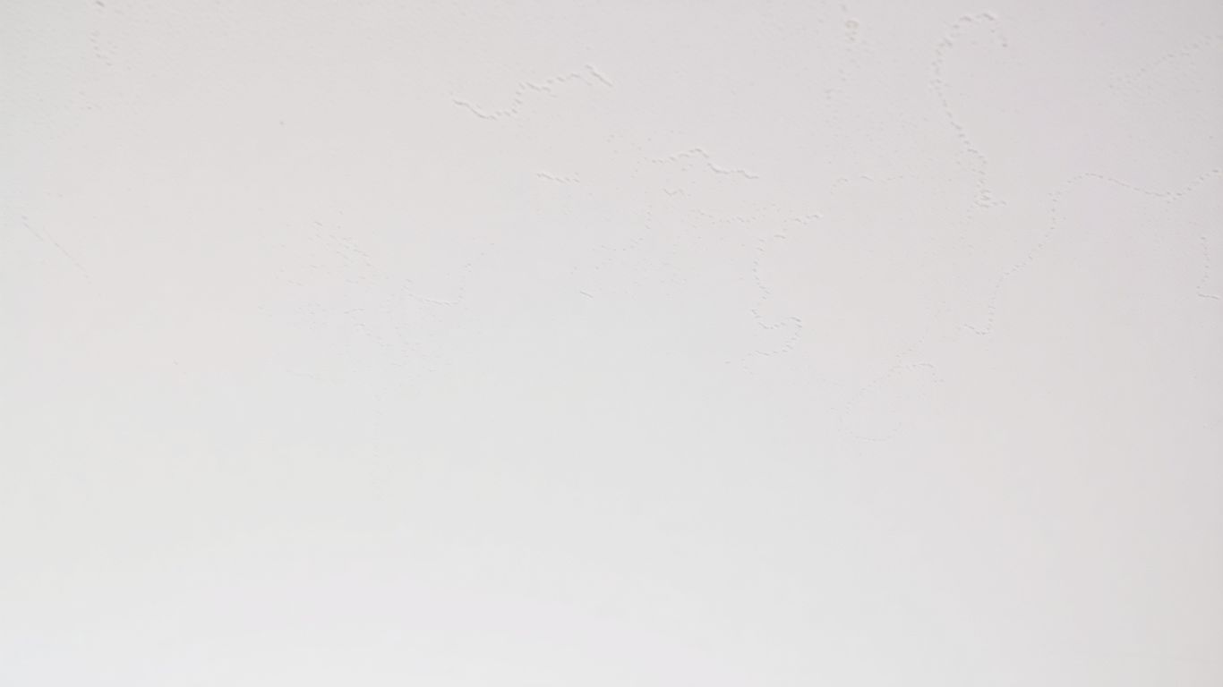 Seamlessly repaired drywall ceiling, smooth and flawless finish.