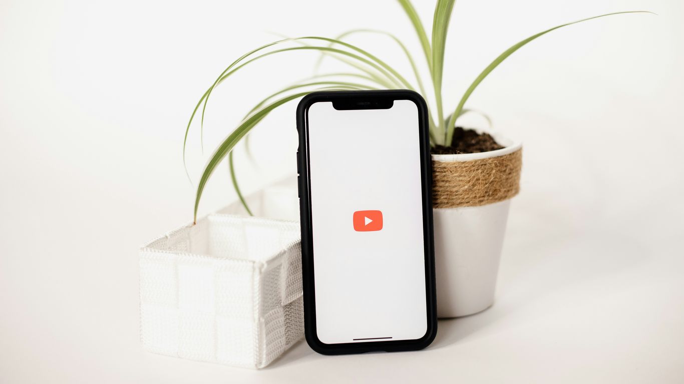 a cell phone sitting next to a potted plant